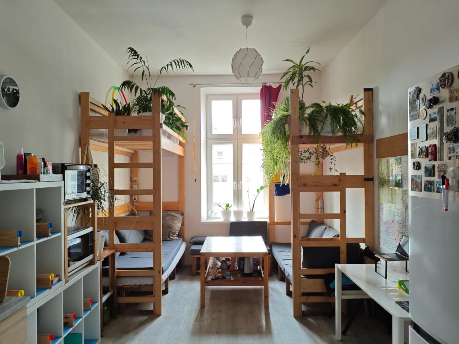 Evergreen Hostel Krakow Exterior photo